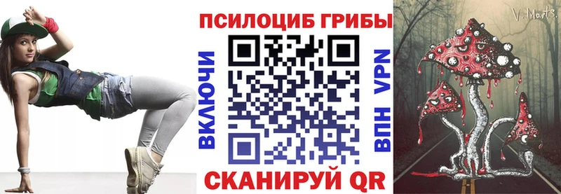 закладки Липки Псилоцибиновые грибы прущие грибы
